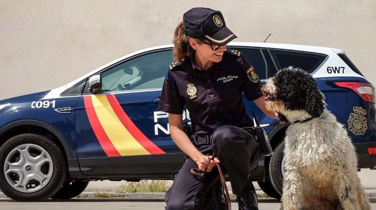  oposiciones a policia nacional 2016